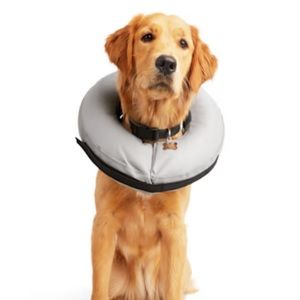 Inflatable Recovery Collar for Dogs